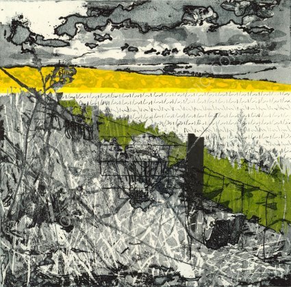 <U>Fields Raised for the Consumer 04</U>